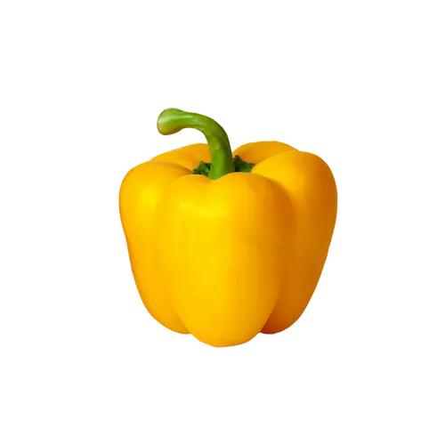 Poivron Jaune