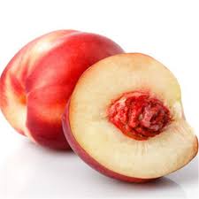 Nectarine Blanche