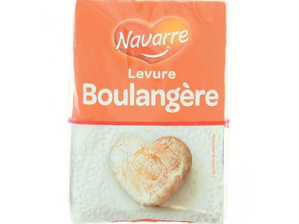 LEVURE DU BOULANGER NAVARRE 30GR