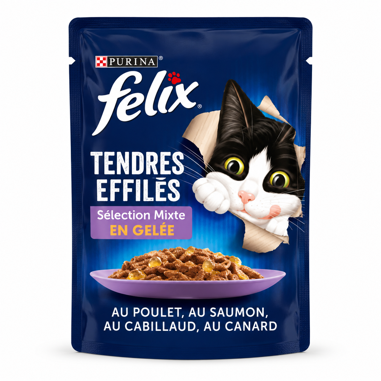 SACHET POCHON CHAT VARIES