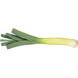 Poireau