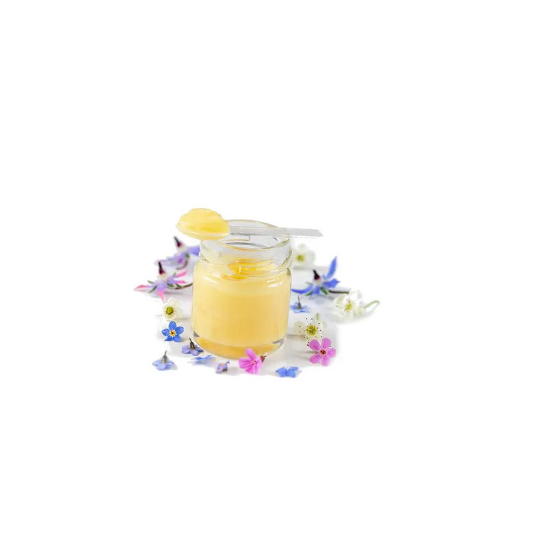 Miel De toutes Fleur Moustier 500gr