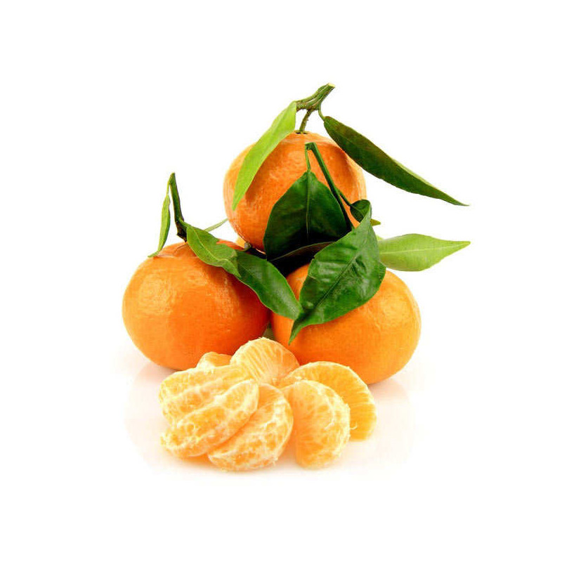 Clementine Corse