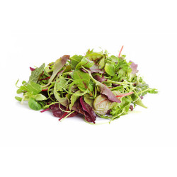 Mesclun Barquette de 125 gr