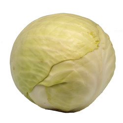 Chou Blanc Entier