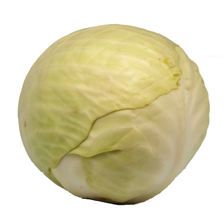 Chou Blanc Entier