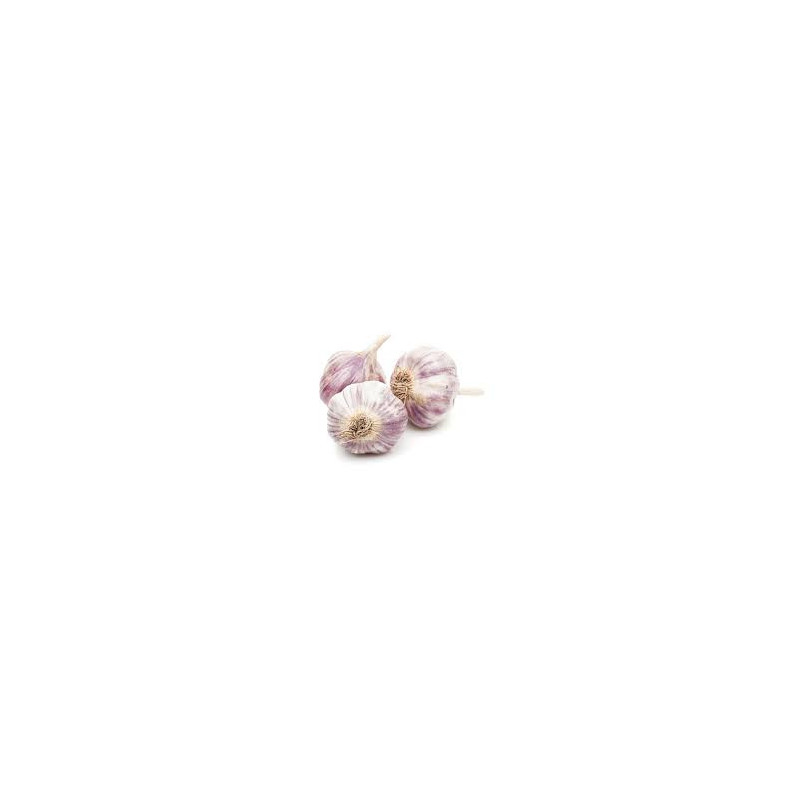 Ail Violet