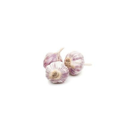 Ail Violet