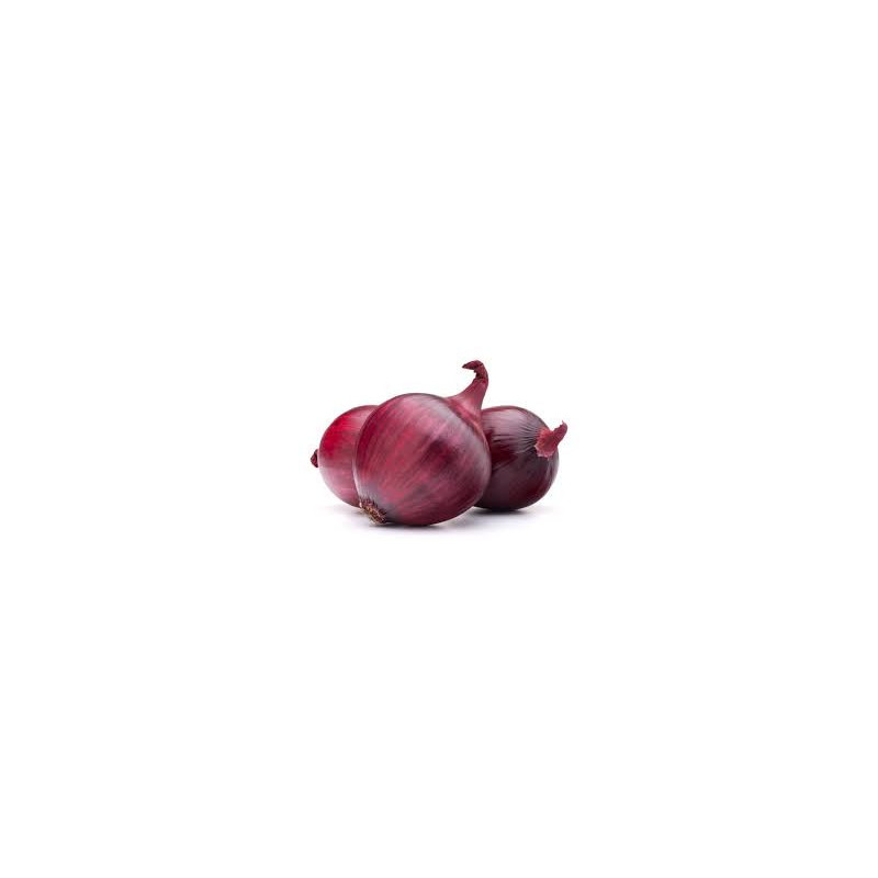 Oignon rouge