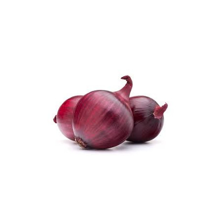 Oignon rouge