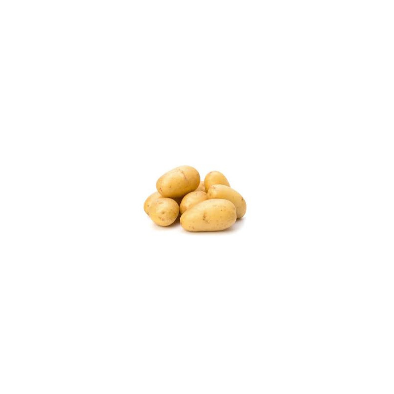 Pomme de terre de consommation Agata
