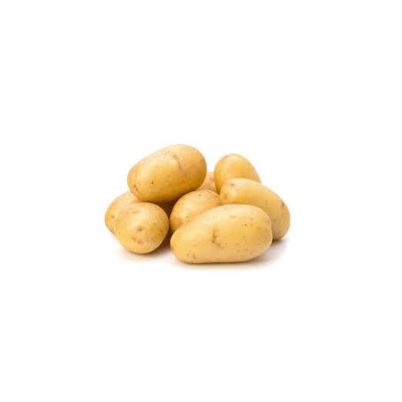 Pomme de terre de consommation Agata