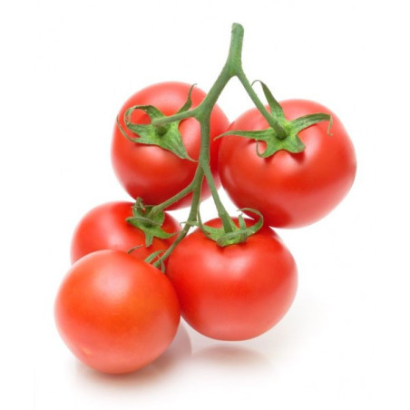 Tomates Grappe