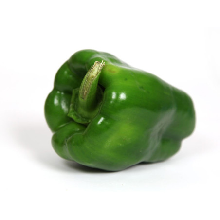 Poivron Vert