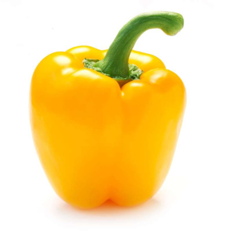 Poivron Jaune