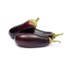 Aubergine Violette