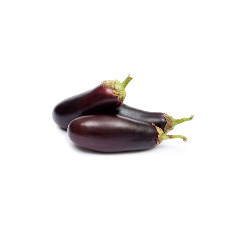 Aubergine Violette